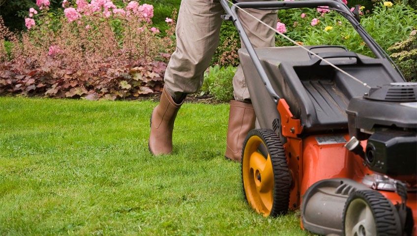 por que contratar un experto en mantenimiento de jardines