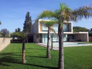 mantenimiento de jardin con palmeras